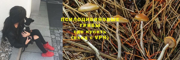 spice Белоозёрский